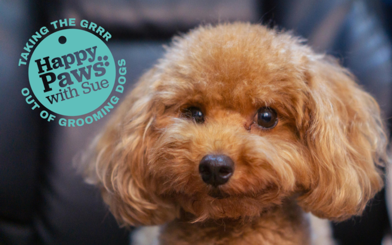 New Consent Based Grooming Course