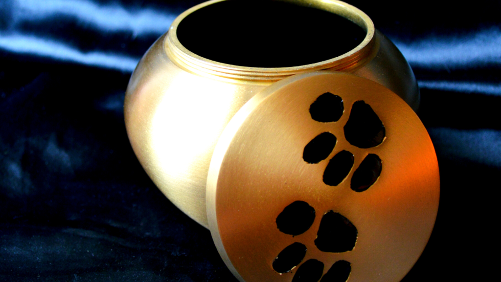 gold dog urn with black pawprints for dog cremation service