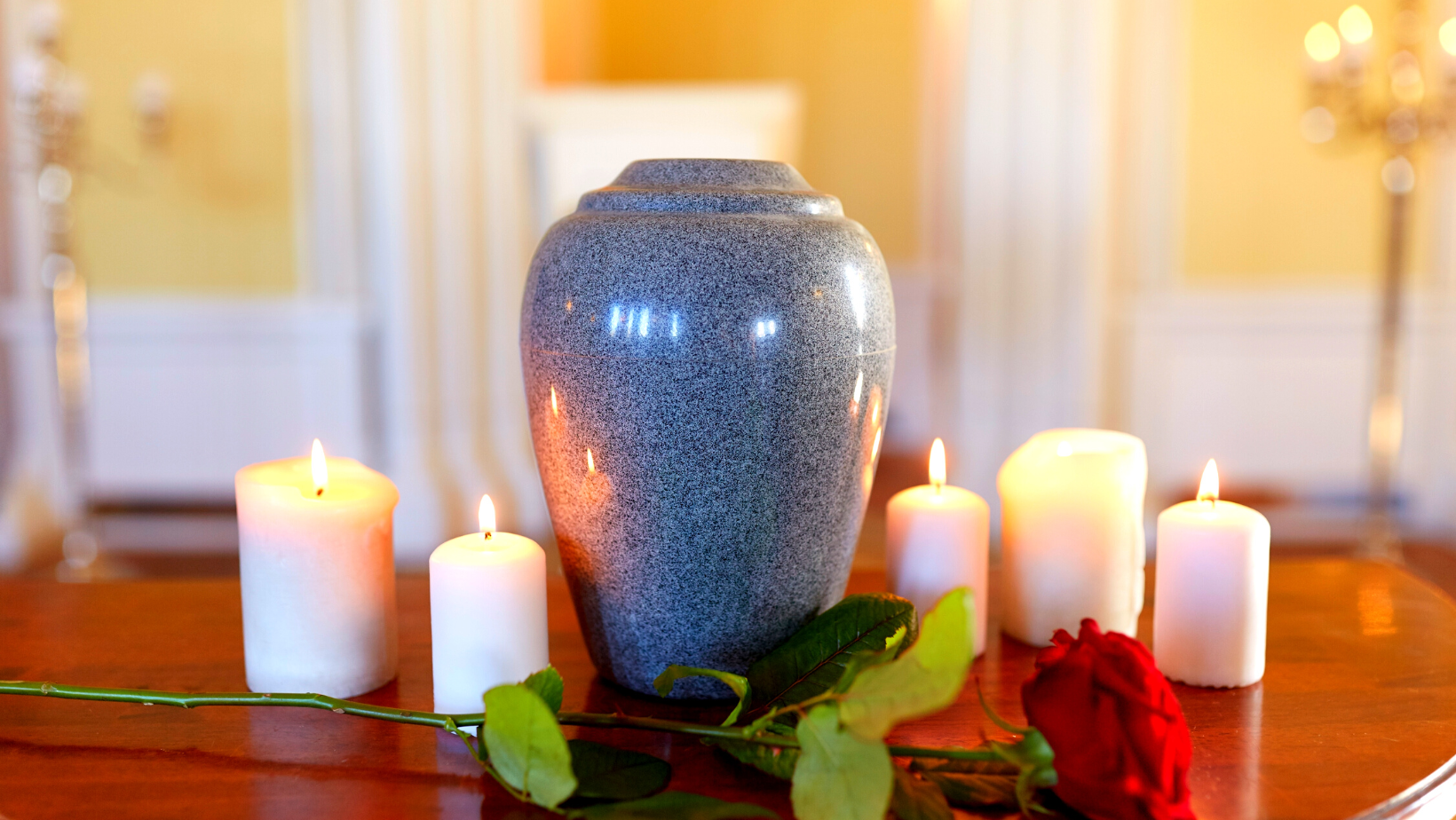 Finding a pet cremation service near you | Yappily