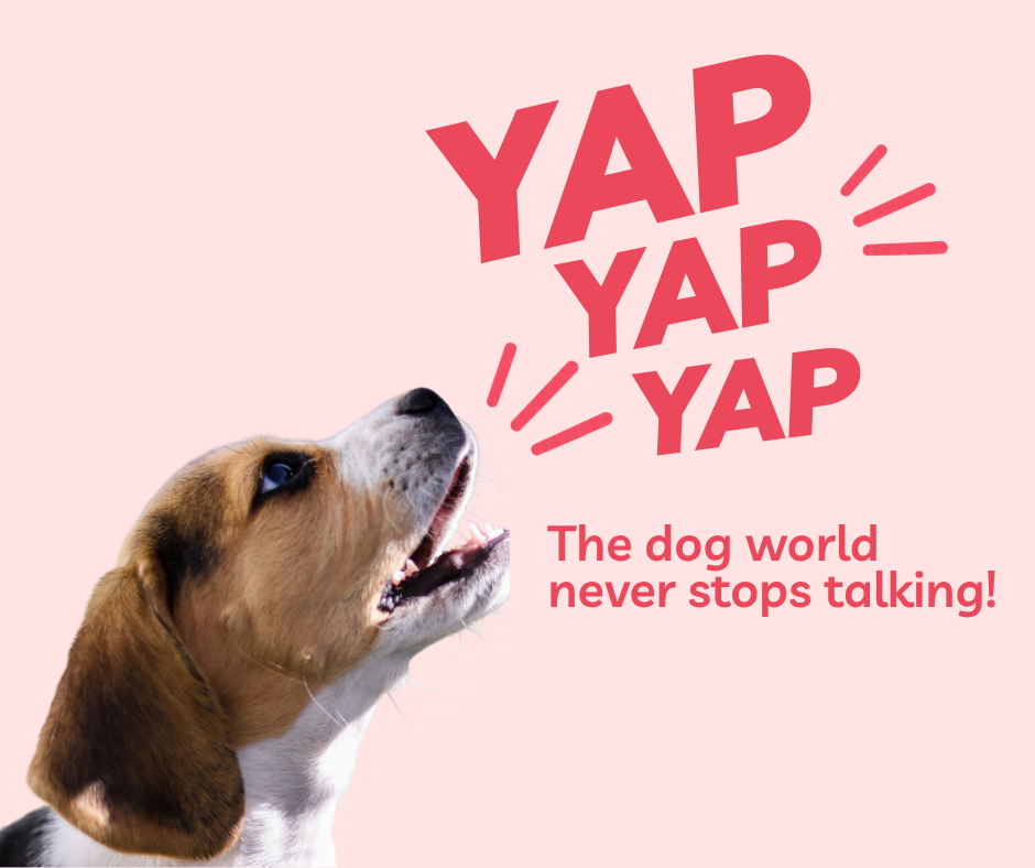 The Yappily email list