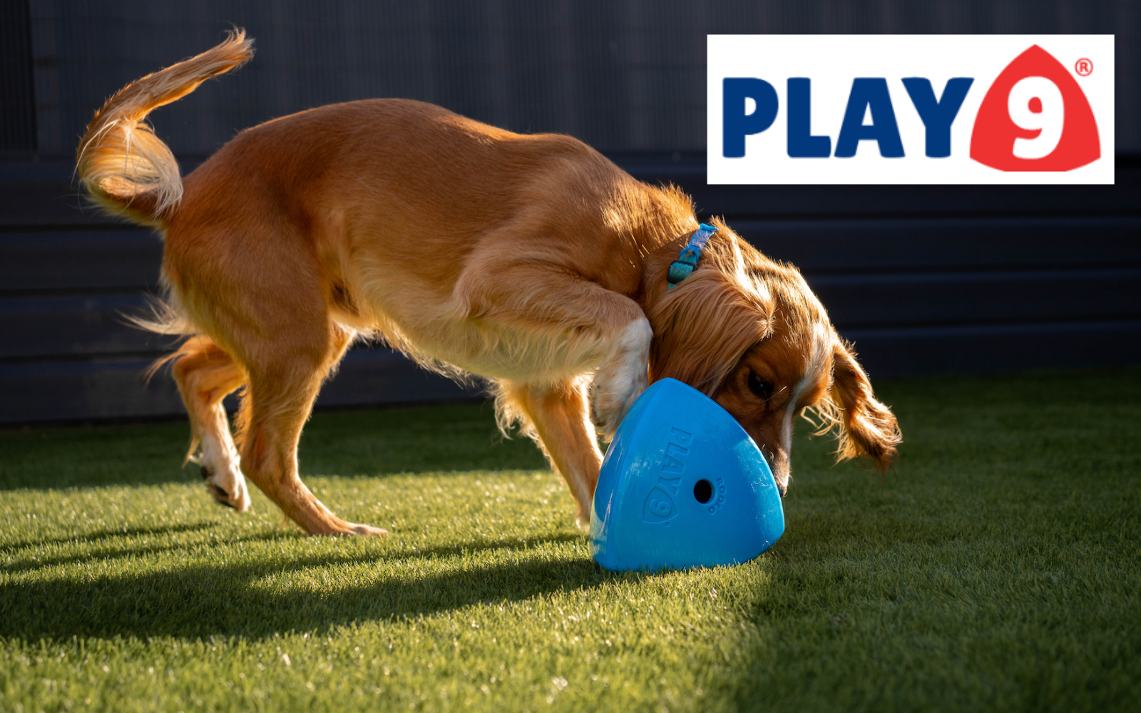 Play9- Yappily