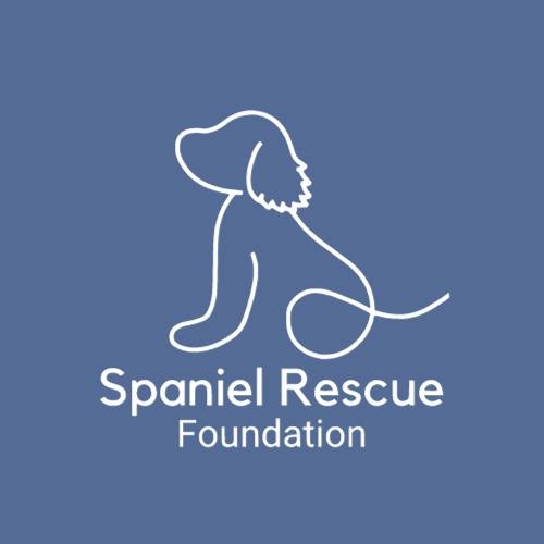 Spaniel rescue Foundation