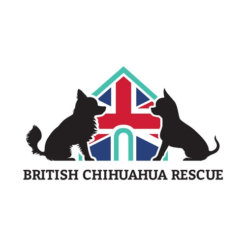 THE BRITISH CHIHUAHUA CLUB RESCUE ASSOCIATION