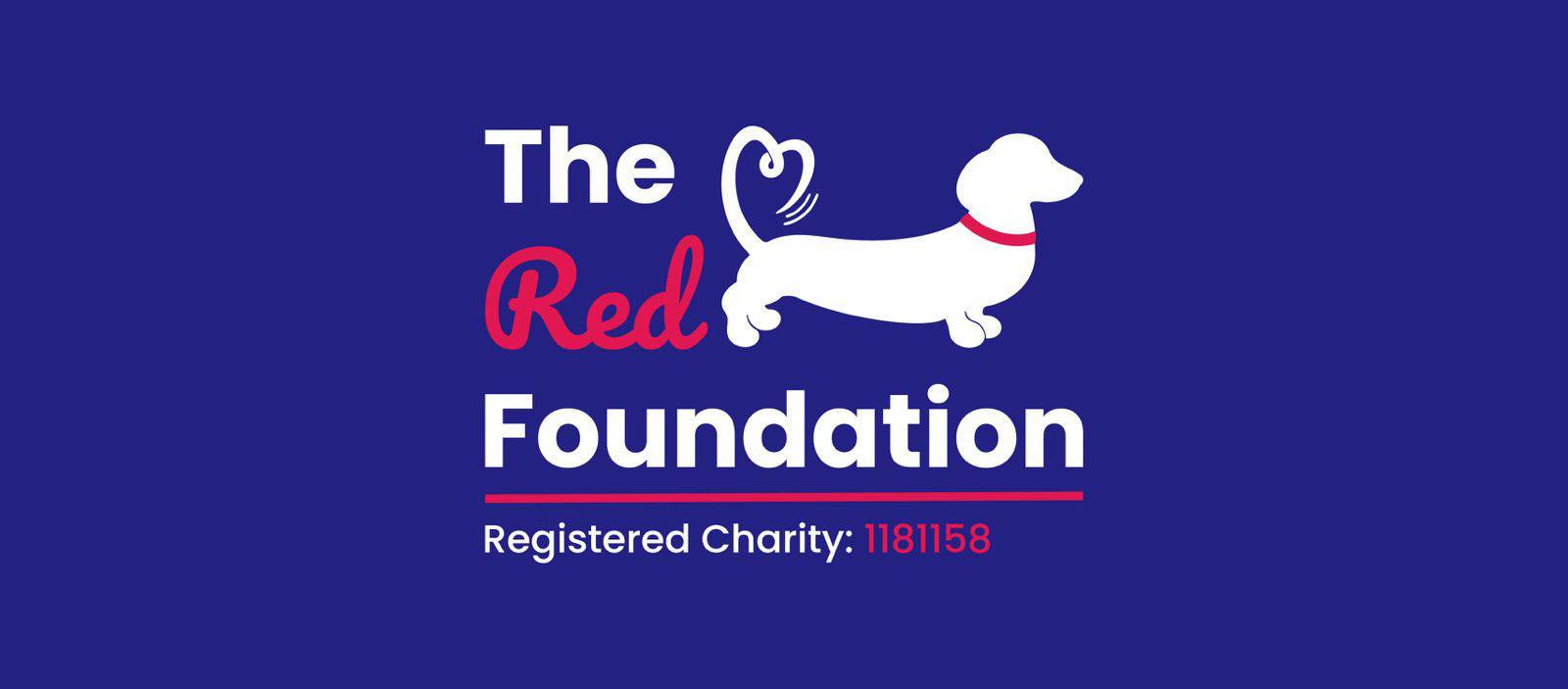 The red Foundation Dachshund Rescue