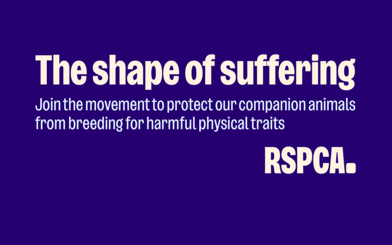 RSPCA releases new report warning of suffering caused by extreme breeding