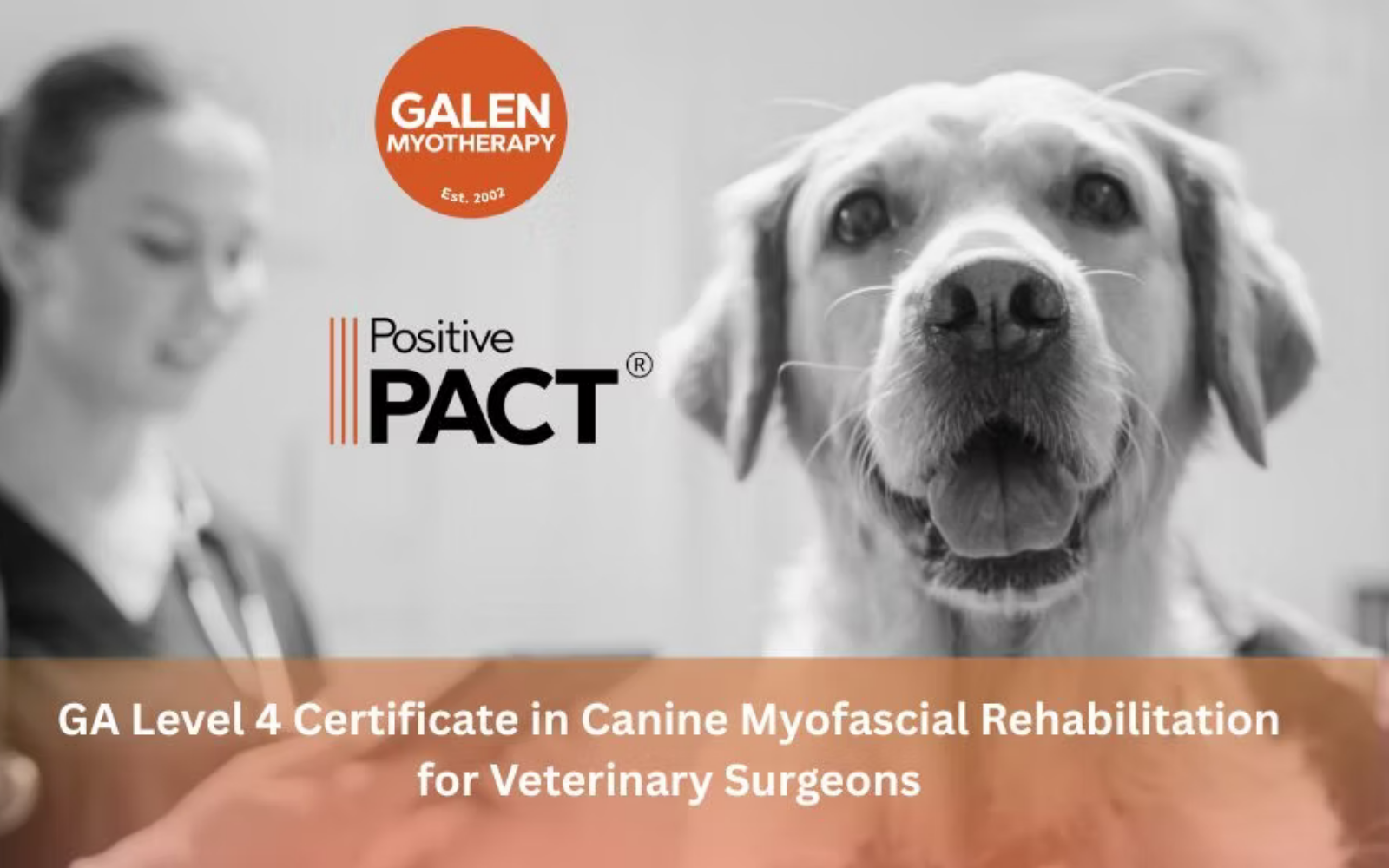 Galen Myotherapy