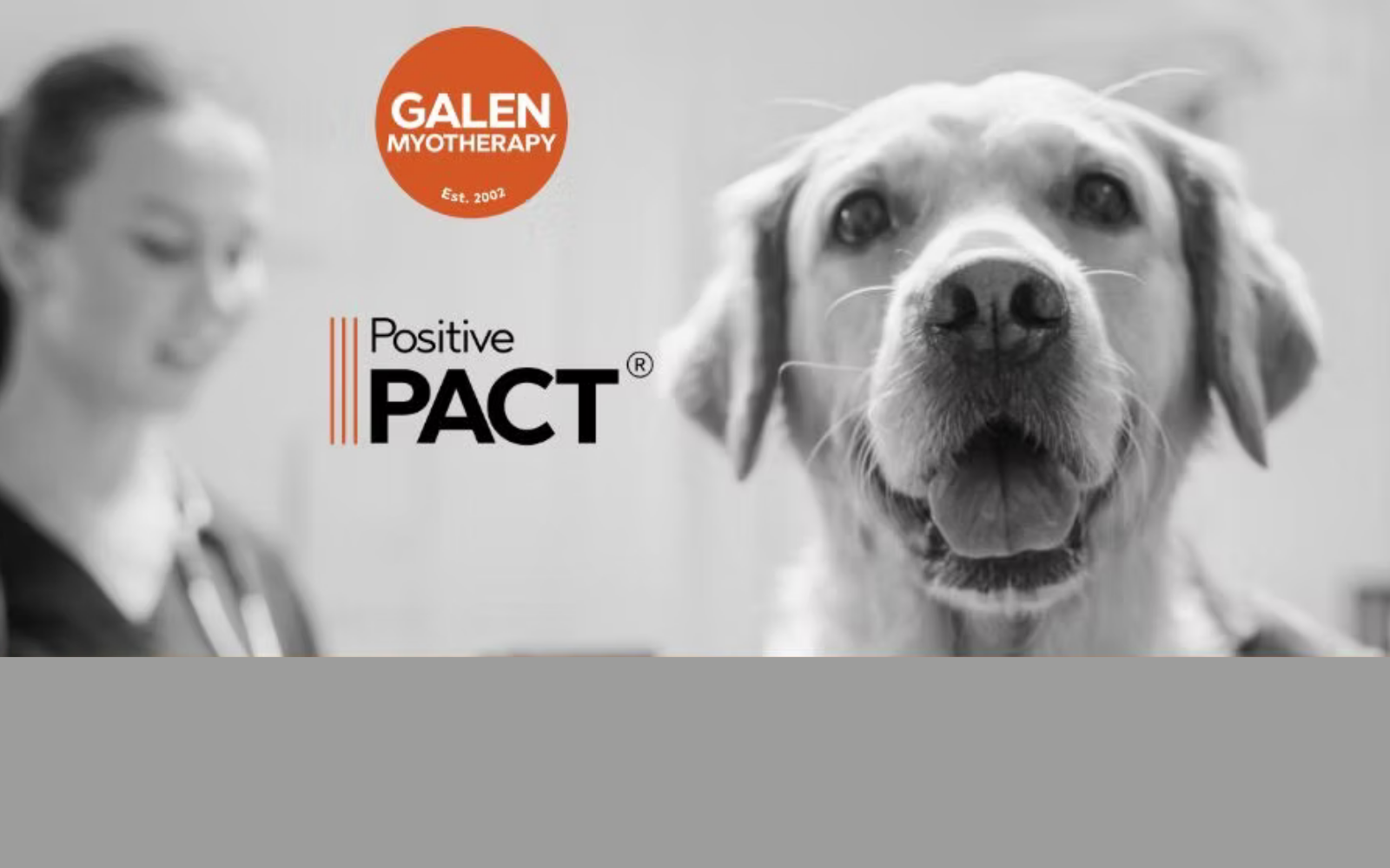Galen Myotherapy announces new Ofqual-regulated veterinary qualification