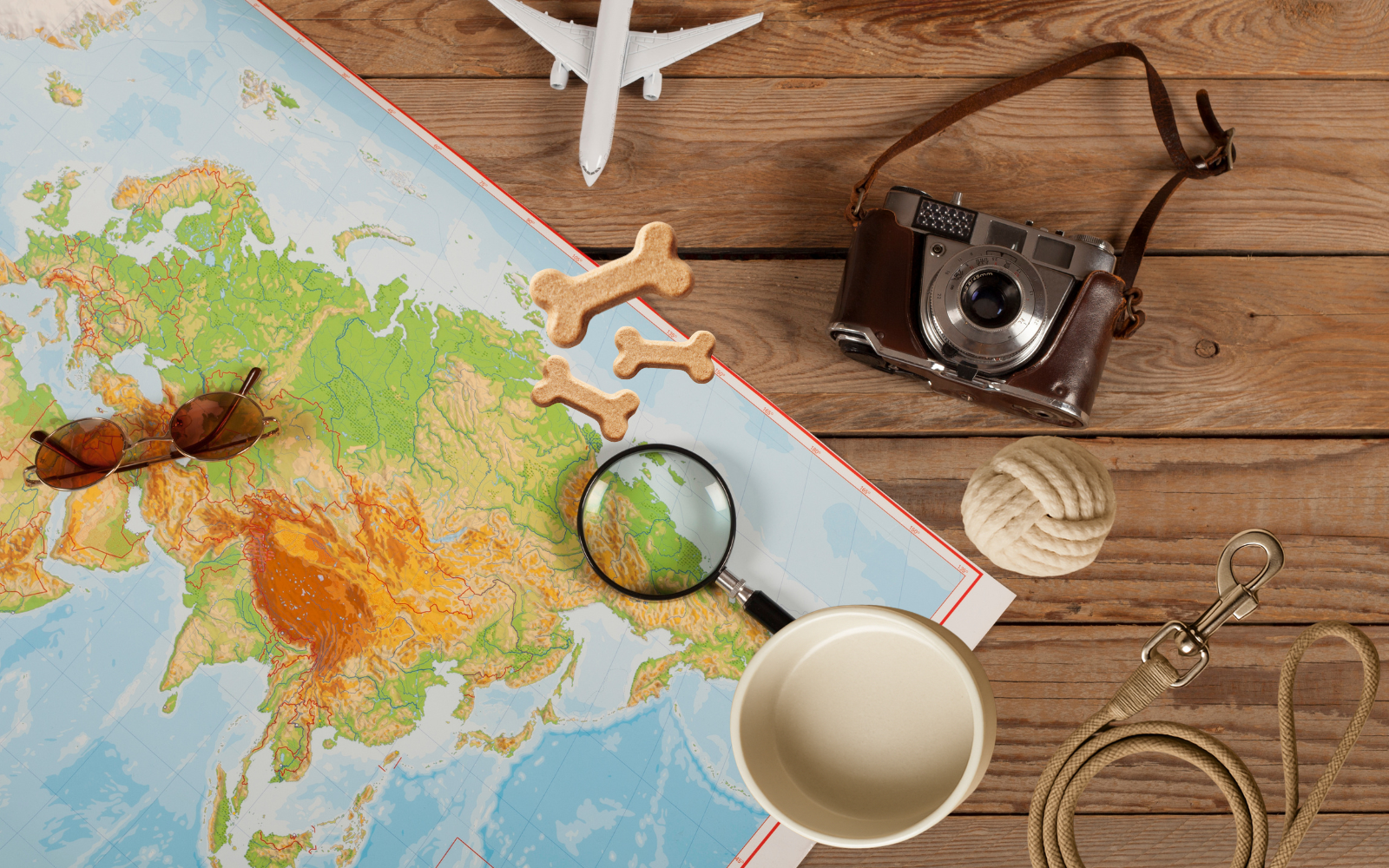 Great Britain to EU Pet Travel Rules Explained Simply in 2026