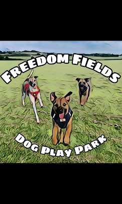 Three dogs playing at Freedom Fields Dog Play Park with stylized filter effect.