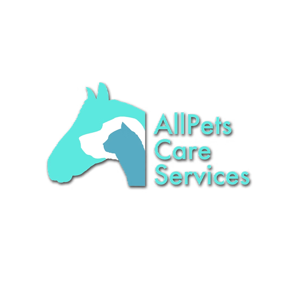 AllPets Care Services – Dog Boarding and Walking in Caerphilly