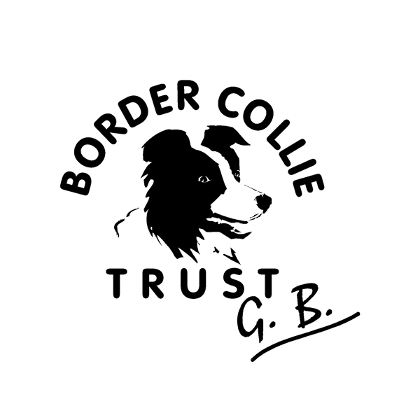 Border Collie Trust GB - Border Collie Rescue