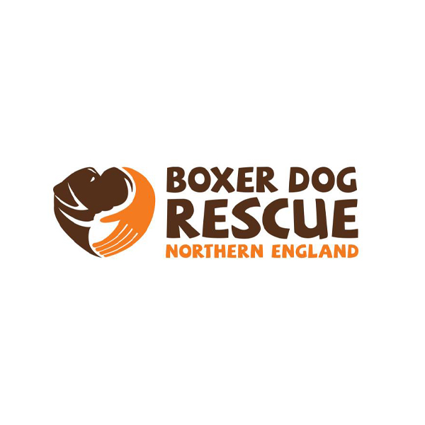 Boxer Dog Rescue Northern England