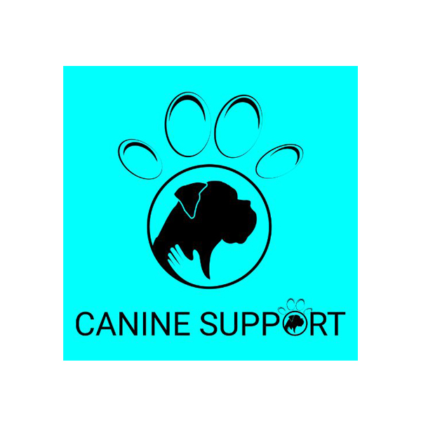 Canine Support – Tellington TTouch for Dogs in Wellington, Somerset