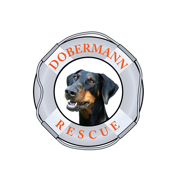 Dobermann Rescue