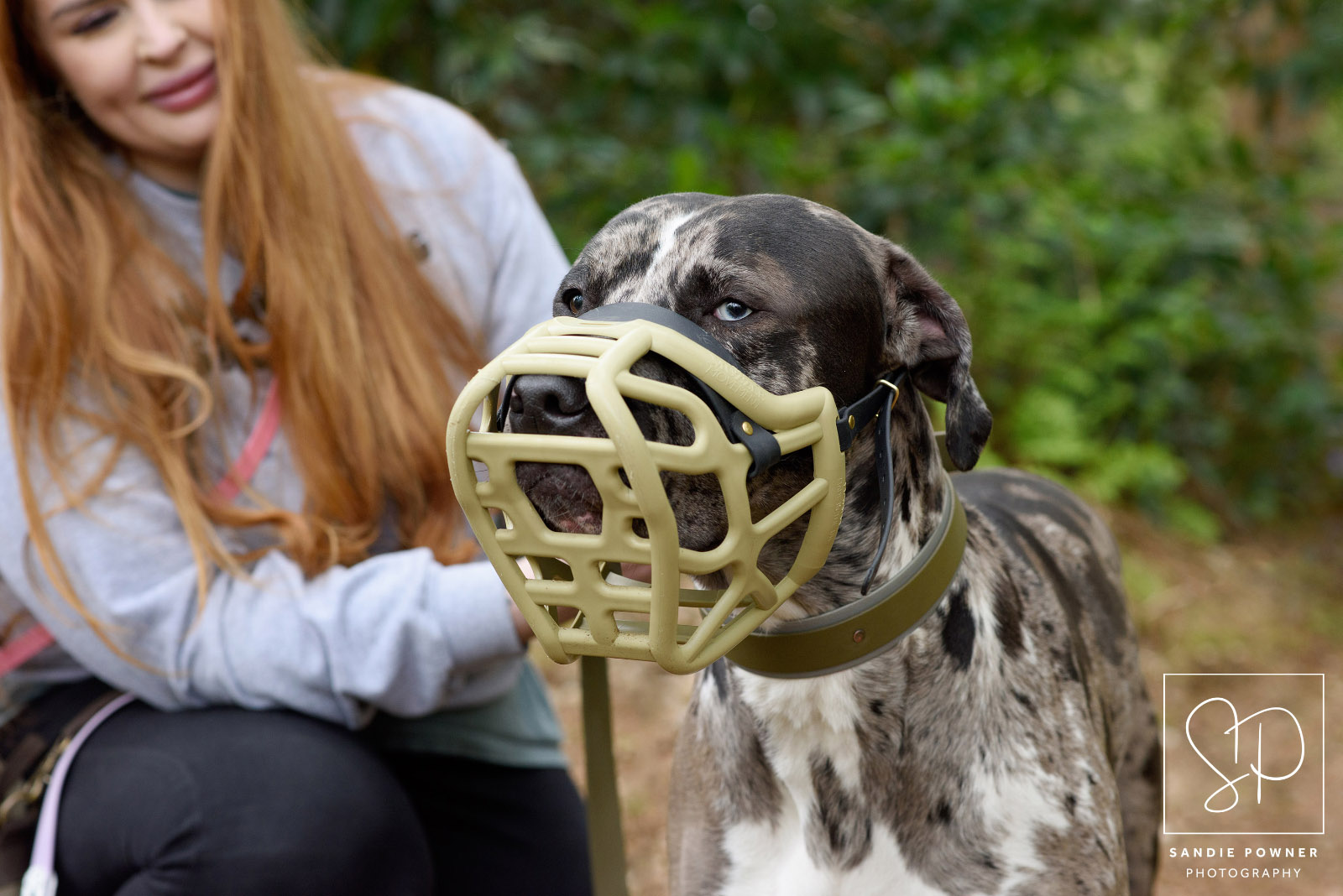 Dog in muzzle made by The Muzzle Movevment