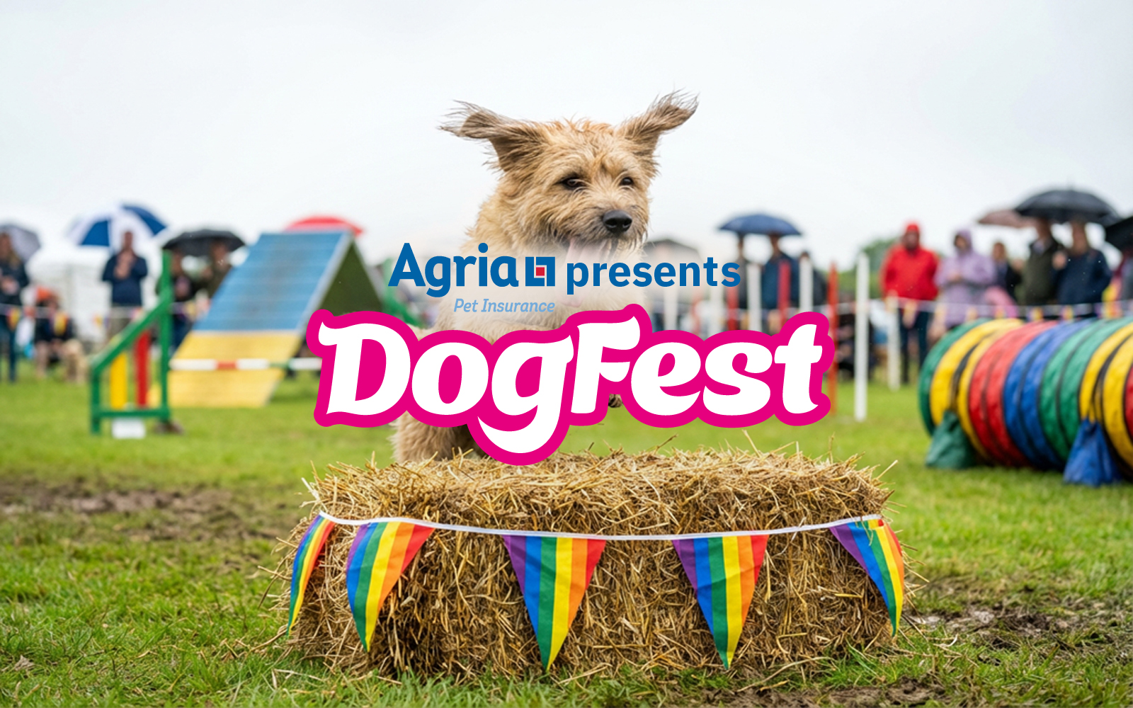 DogFest Dates, Locations, Tickets