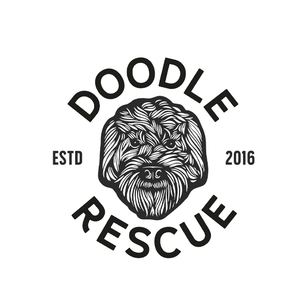 Doodle Rescue