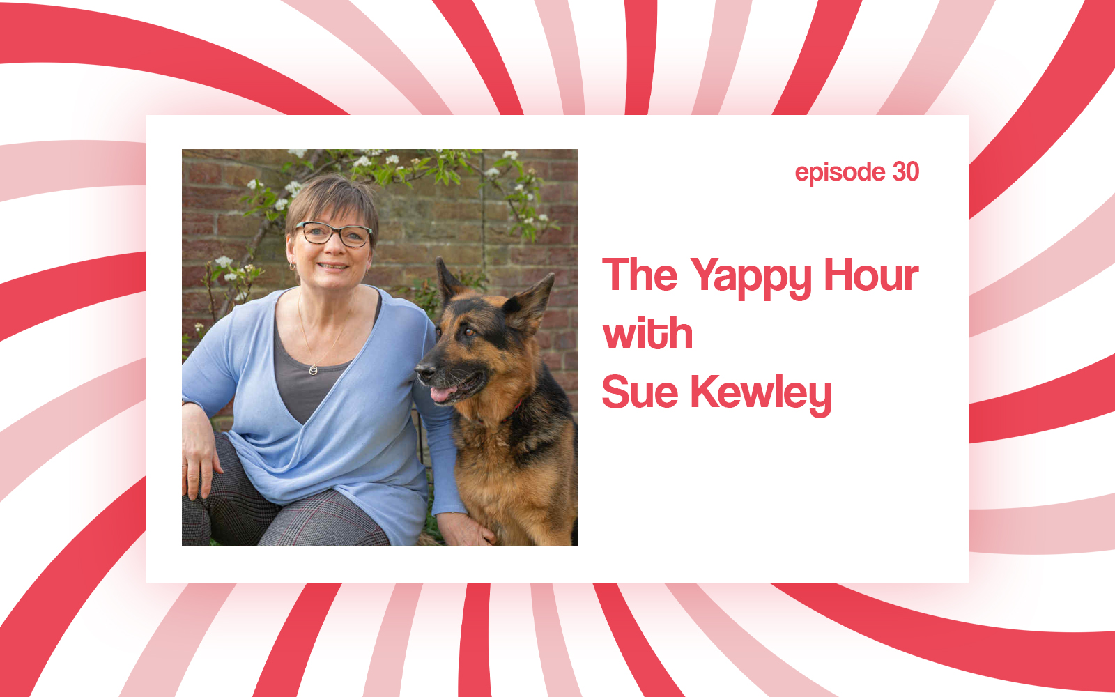 German Shepherd dog training with Sue Kewley of The Happy Shepherd: understanding emotional needs, busting myths & building connection