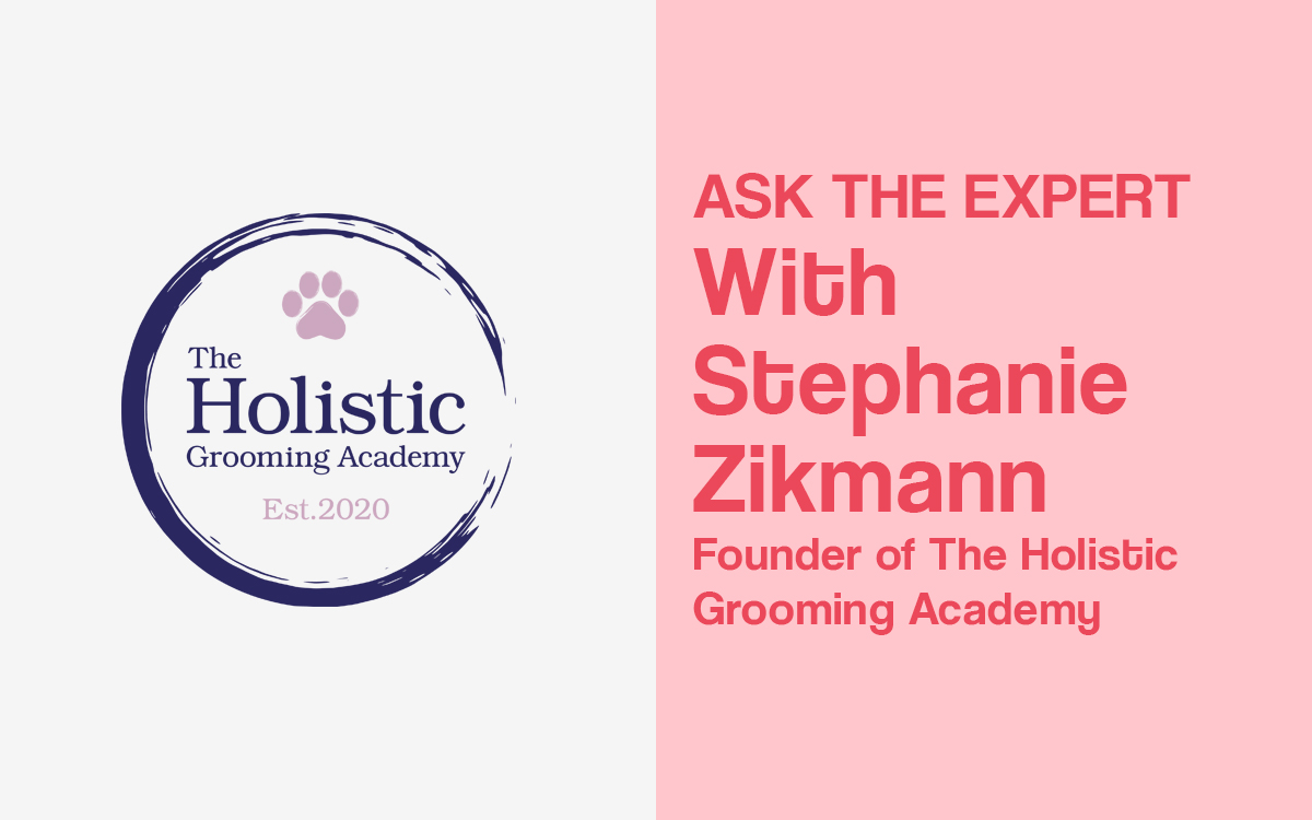 Holistic dog grooming with Stephanie Zikmann