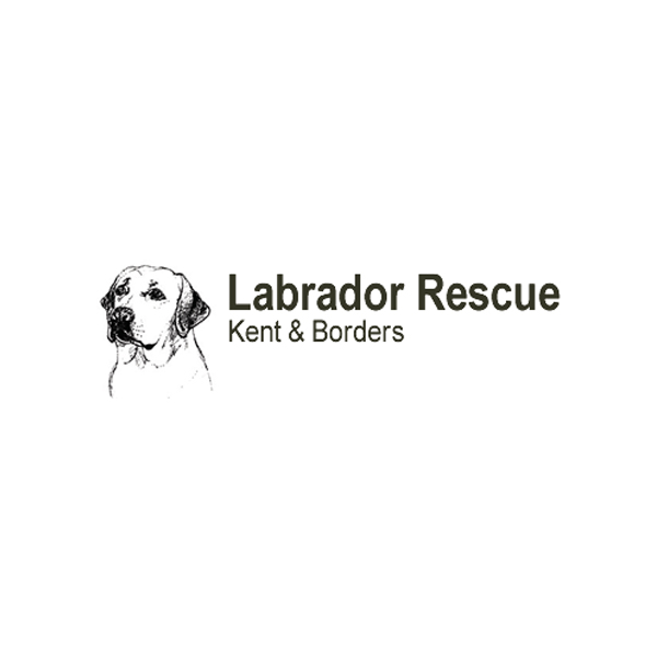 Labrador Rescue Kent