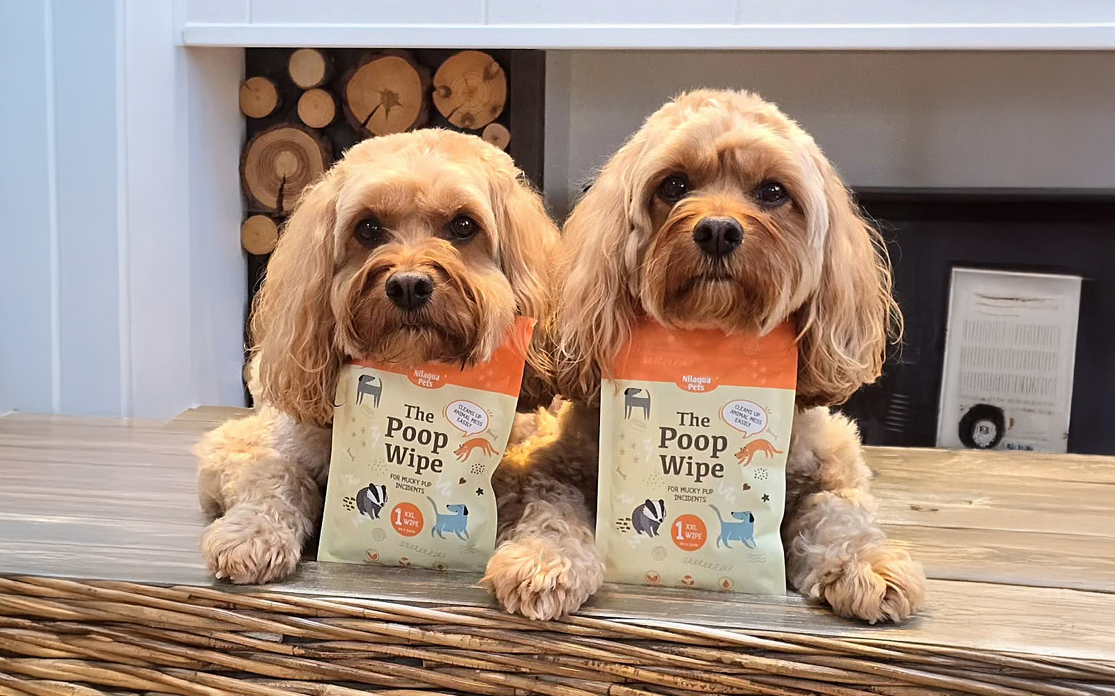 Nilaqua Pets Launches New Waterless Dog Grooming Products