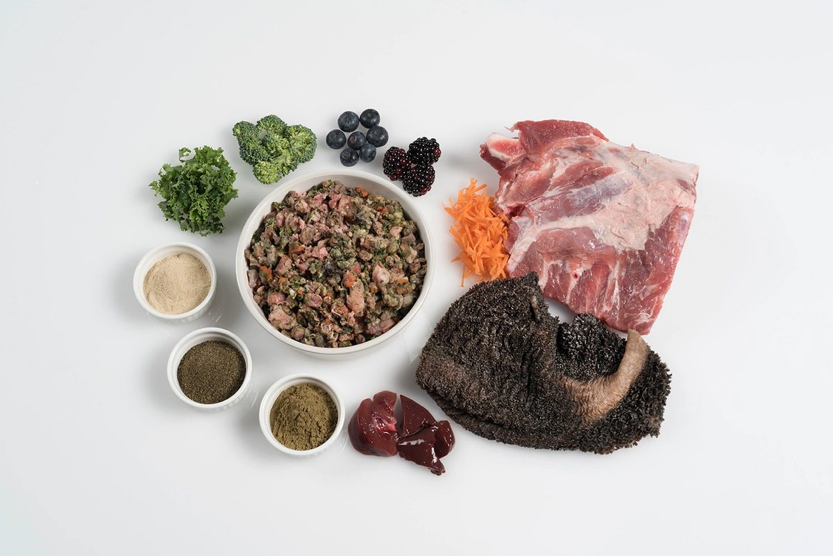 A variety of fresh ingredients displayed on a white surface, including a bowl of raw diced meat with vegetables, a piece of raw pork, bunches of kale and broccoli, black grapes, blackberries, shredded carrot, a large mushroom, small bowls of ground spices, and raw liver.