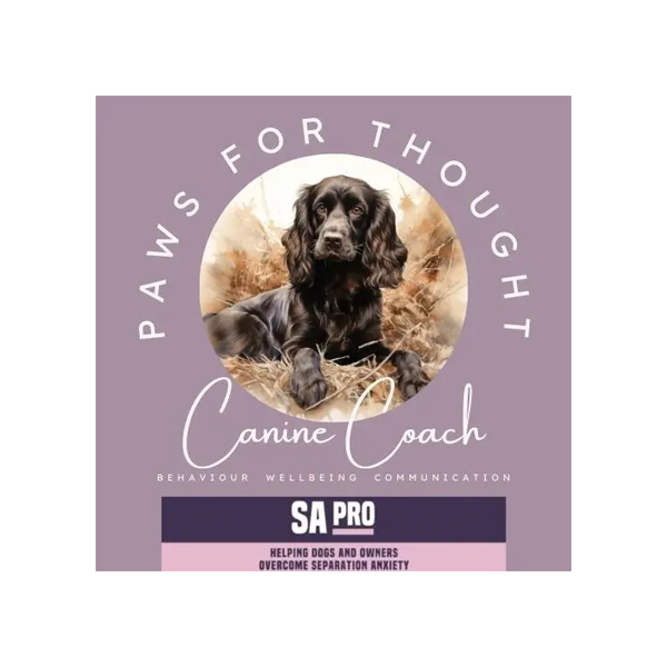 Paws for Thought Canine & Equine Coach - Dog Training in Cwmbran, Torfaen