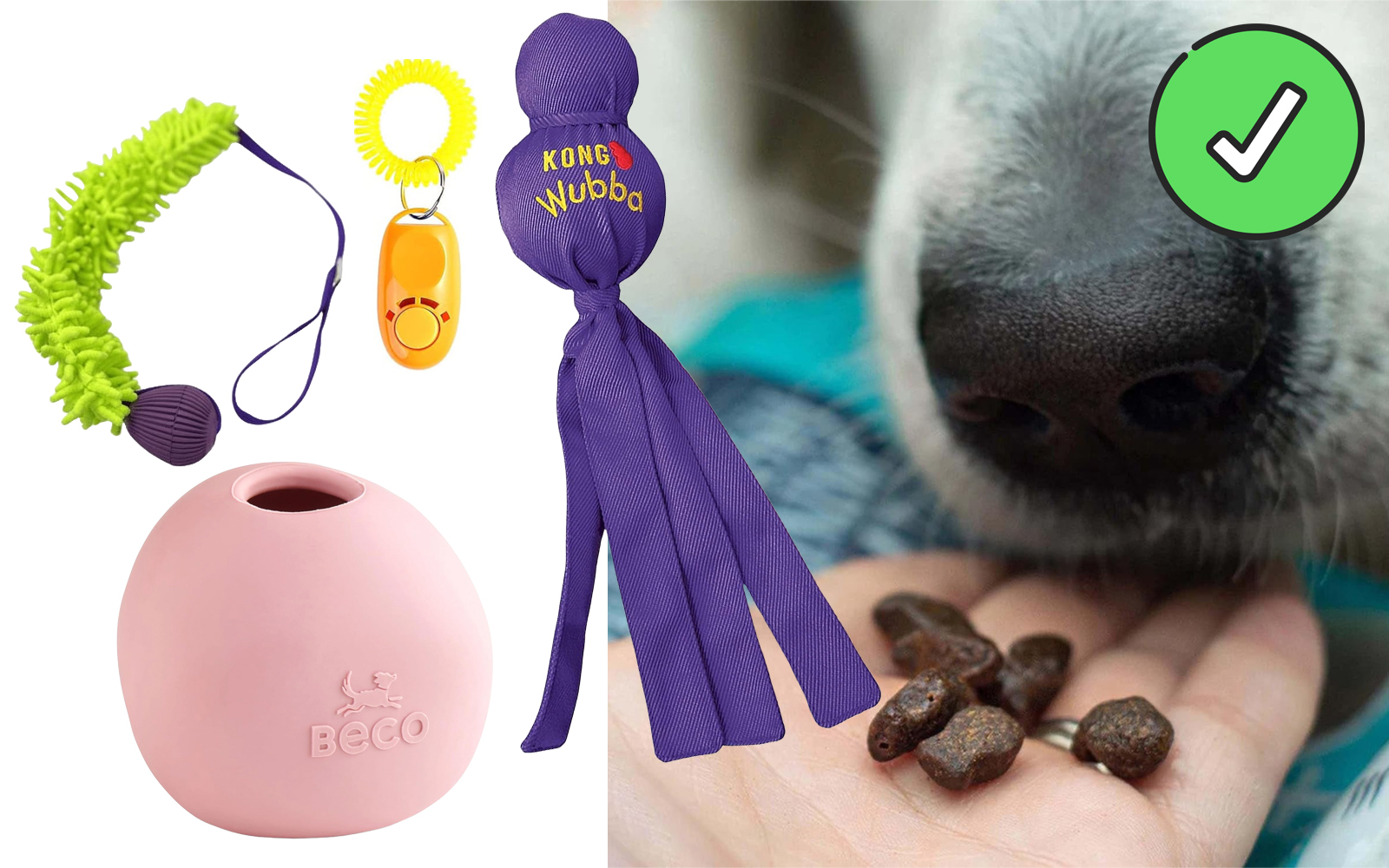 A collage of dog-related items and a dog's nose close-up: a green spikey tug toy, a yellow clicker, a purple "KONG Wubba" toy, a pink "Beco" ball treat dispenser, and a hand offering brown dog treats with a check mark symbol above the dog's nose, signifying positive reinforcement training or a correct choice.