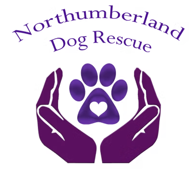 Northumberland Dog Rescue