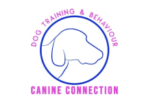 Canine Connection, Dog Training In Sittingbourne, Kent,