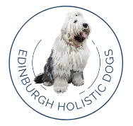 Dog Trainer Edinburgh