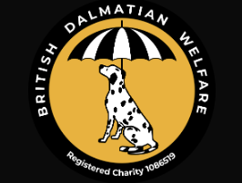 British Dalmatian Welfare