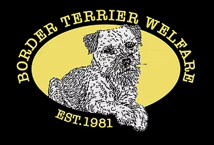 Border terrier Rescue