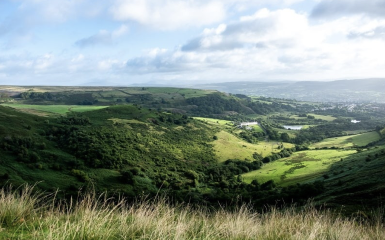 Unlicensed Dog Boarder Prosecutes in Wales