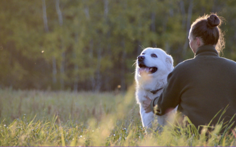 neuro diverse support group for dog trainers