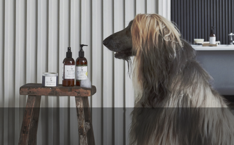Wild wash ethical dog shampoo