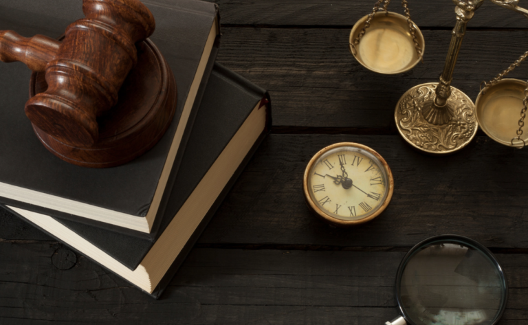 XL Bully Owner Jailed