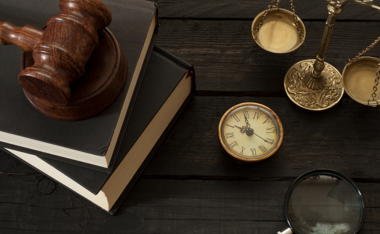 XL Bully Owner Jailed