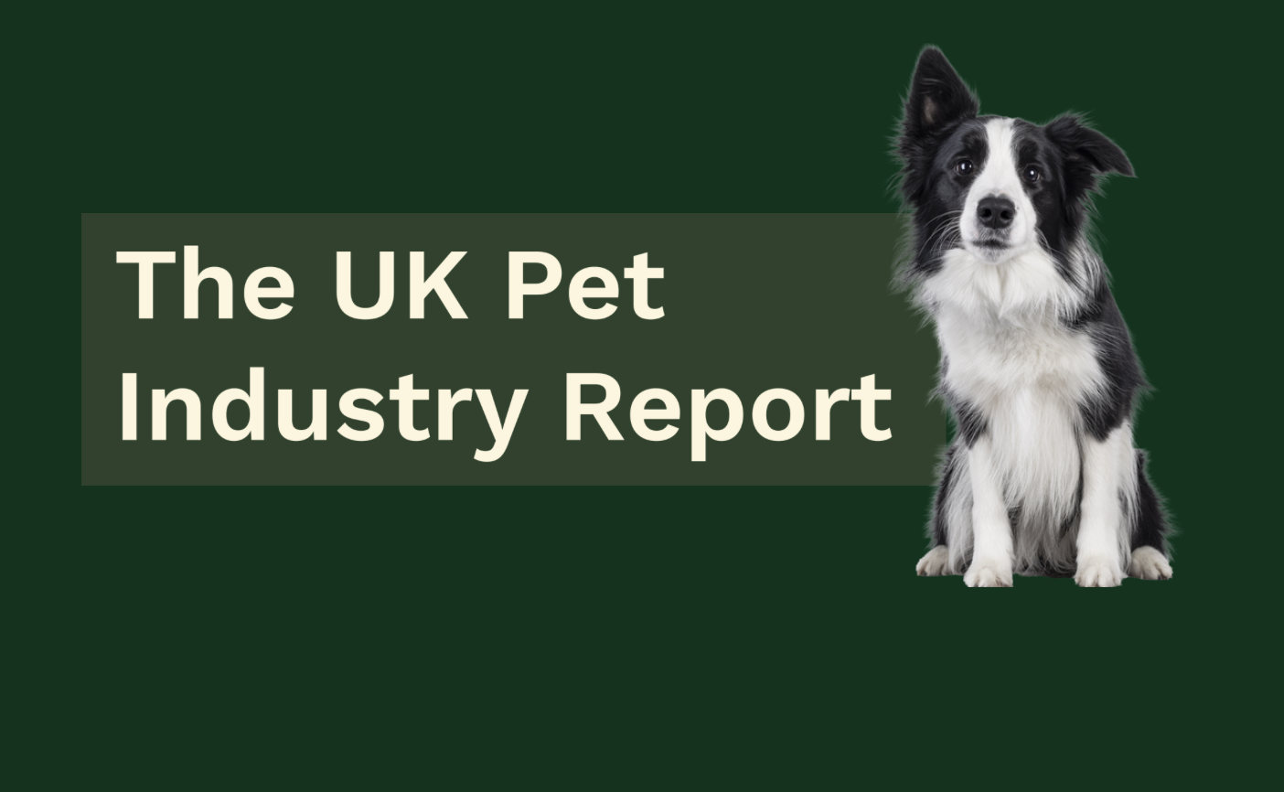 Pets4homes Pet Industry report