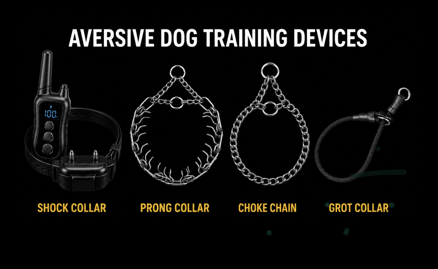Northern Ireland Assembly to Debate Ban on Shock, Prong and Choke Collars