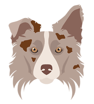 FCI Obedience Lancaster, Lancashire