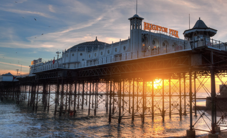 Brighton dog walking restrictions spark concern as council consultation opens