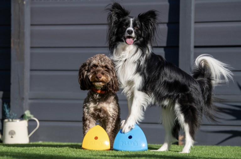 Play9 launches The Roolo® Mini to bring canine enrichment to even more dogs