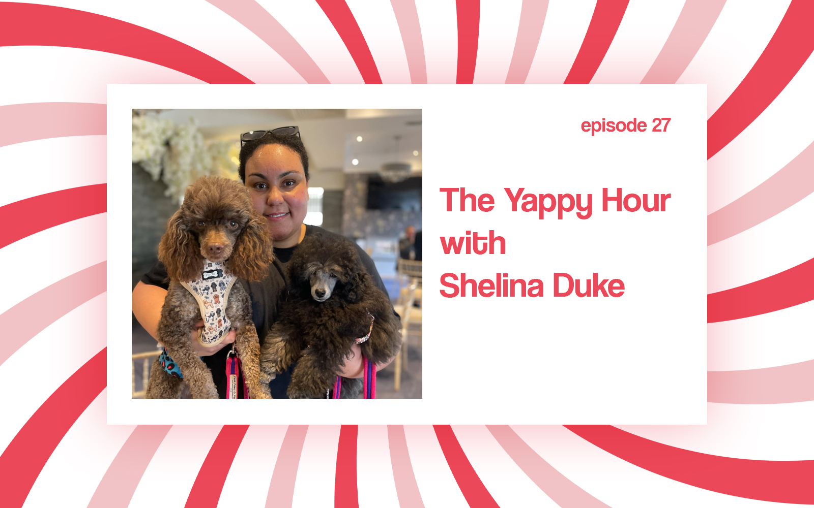 Shelina Duke: Poodle Training Tips & Techniques for Toy, Miniature & Standard Poodles