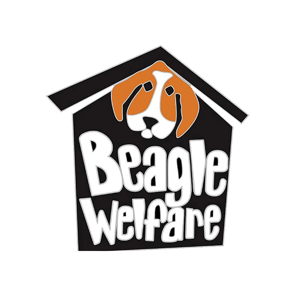 The Beagle Welfare Scheme - Beagle Rescue