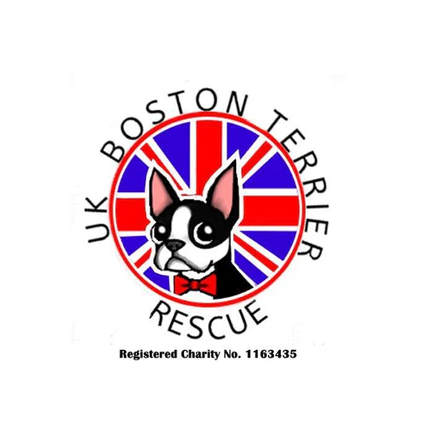 UK Boston Terrier Rescue