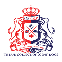 Scent work Nottingham