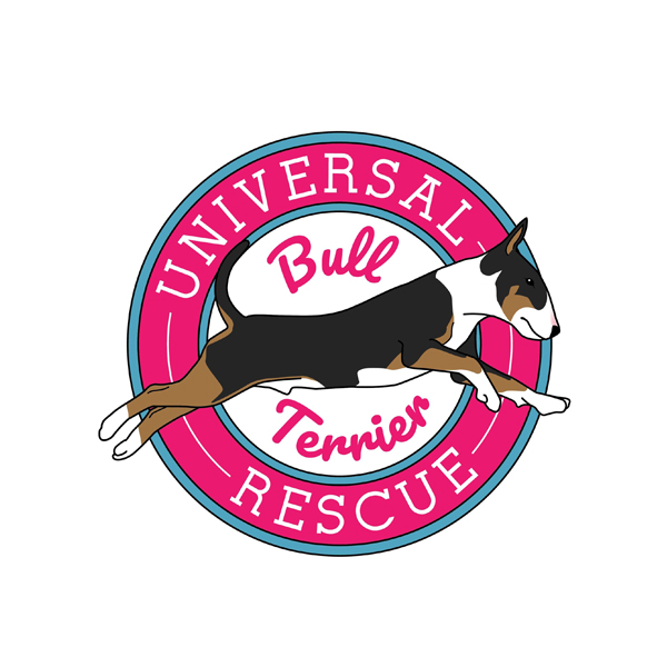 Universal Bull Terrier Rescue