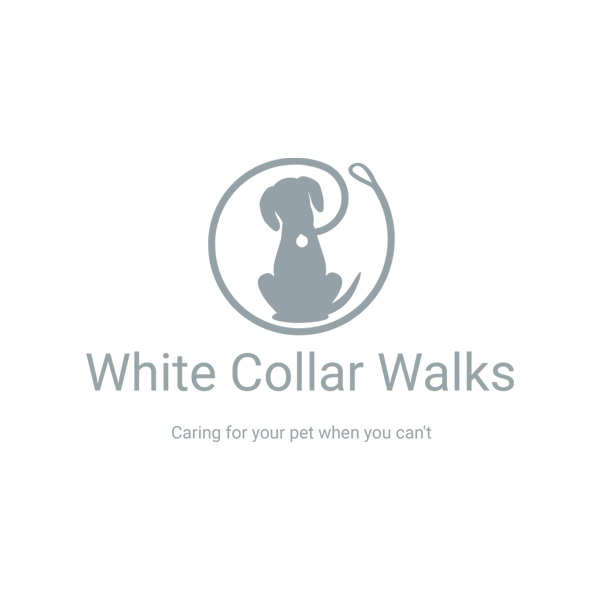 White Collar Walks - Dog Walking and Dog Sitting in Barrow Upon Soar