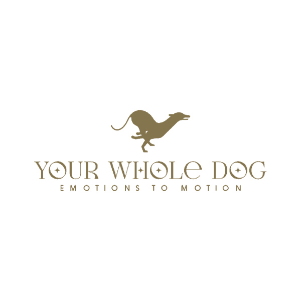 Your Whole Dog - Dog Training and Behaviour in Bovey Tracey, Devon
